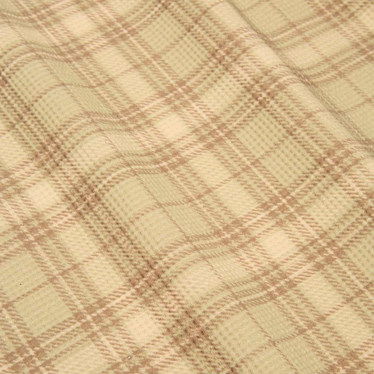 Carpet Company Plaid Thermal (Cream)